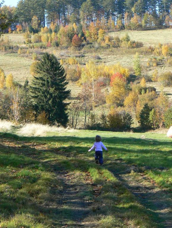 Art Pension Przecznica Buitenkant foto